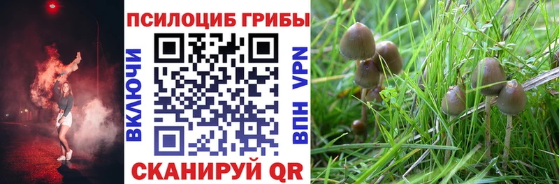 Псилоцибиновые грибы ЛСД  наркотики  Кемь 